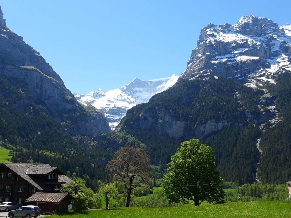 Apartment Chalet Almisgässli Grindelwald Exterior foto