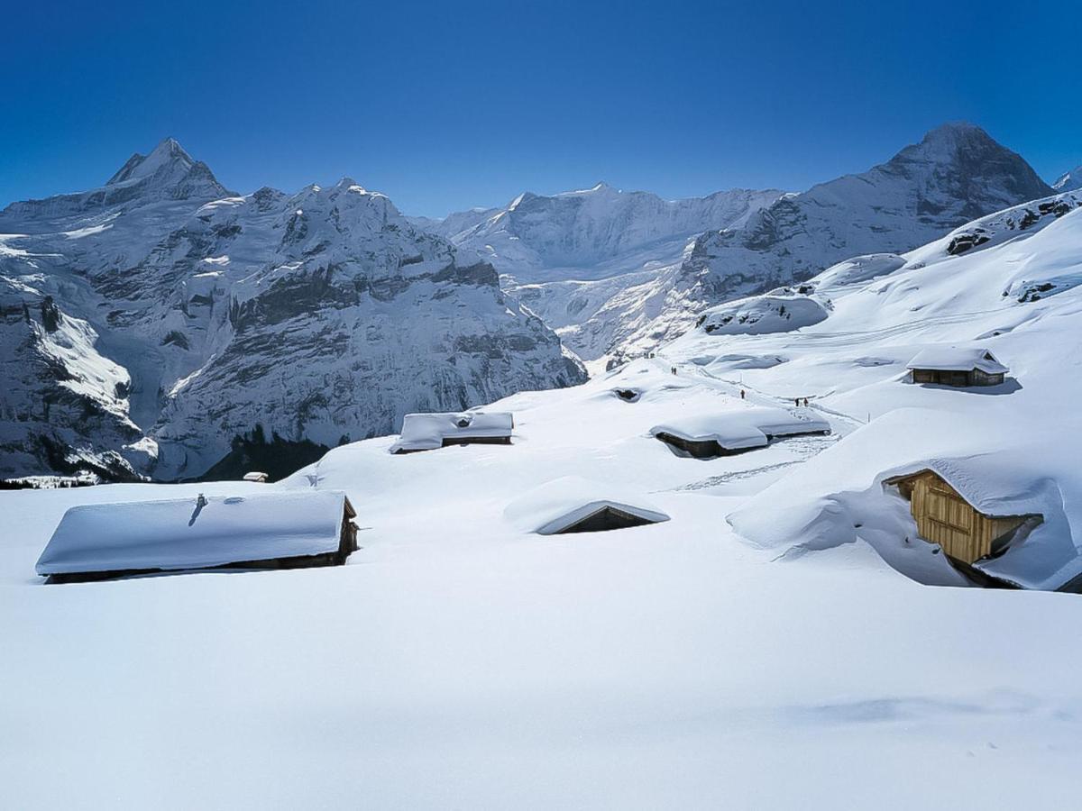 Apartment Chalet Almisgässli Grindelwald Exterior foto